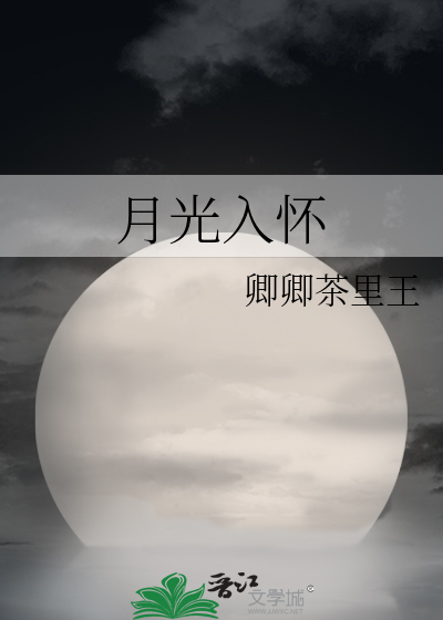 月光入怀