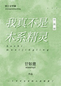 我真不是精灵王小说