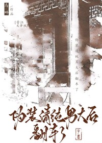 伪装纯情小说全文阅读